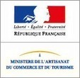 Veille info tourisme - Les voyageurs français connectés au web pendant leurs vacances | Nouvelles Technologies et Tourisme | Scoop.it