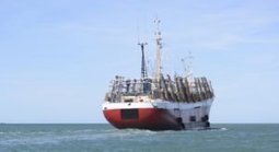 Chinese vessels amass near Argentine waters ahead of squid season start | Coastal Restoration | Scoop.it