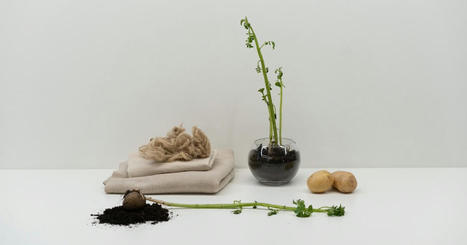 #Patacel, une fibre #textile #durable à partir des déchets de la pomme de terre | Vous avez dit Innovation ? | Scoop.it