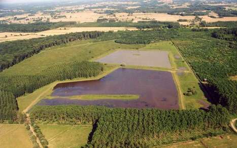 Pontonx-sur-l'Adour. Les élus s’embrasent au sujet de la forêt  | Landes | Scoop.it