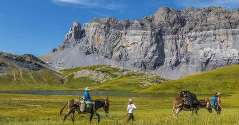 Randonnée avec un âne : cinq choses que vous ignorez sûrement sur une pratique tout sauf bête | Tourisme de randonnées                                                                                                                                                                                 & Sports de nature pour les pros | Scoop.it