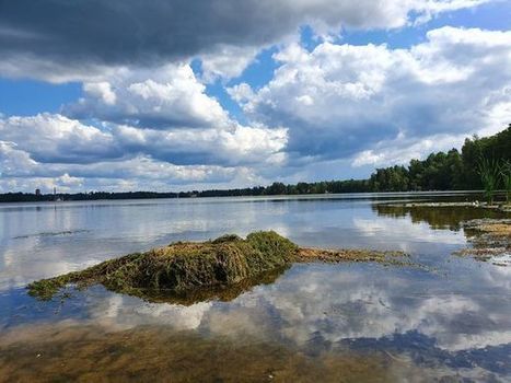 maailman lyhyin älykkyystesti