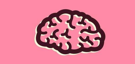 Los 12 principios de aprendizaje del cerebro | Educación, TIC y ecología | Scoop.it