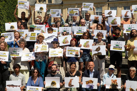 « Justice pour le vivant » : l’Etat et les fabricants de pesticides saisissent le Conseil d’Etat | Variétés entomologiques | Scoop.it