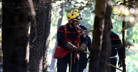 Alsace. &laquo; De gros feux d&rsquo;ici 10 &agrave; 20 ans &raquo; : m&ecirc;me dans la r&eacute;gion, le r&eacute;chauffement menace les for&ecirc;ts | Alsace Actu | Scoop.it