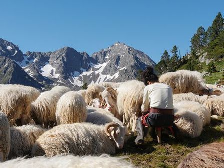 Leyt d'eth Nèu Bielh | Vallées d'Aure & Louron - Pyrénées | Scoop.it