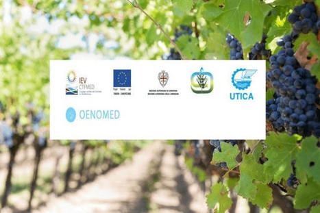 OENOMED-Qualification et Promotion des filières viti-vinicoles des Aires Protégées de la MEDITERRANEE | CIHEAM Press Review | Scoop.it