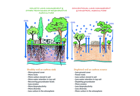 Designing Regenerative Cultures | Peer2Politics | Scoop.it