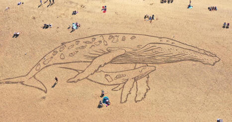 How little plastic does it take to kill marine animals? Scientists have answers | Soggy Science | Scoop.it