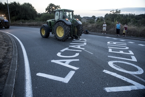 Lait : les producteurs européens dans la tourmente | Lait de Normandie... et d'ailleurs | Scoop.it