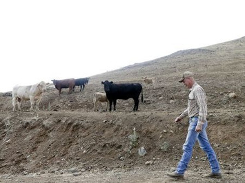 8 states running out of water | Business Report - Making A Difference | Scoop.it