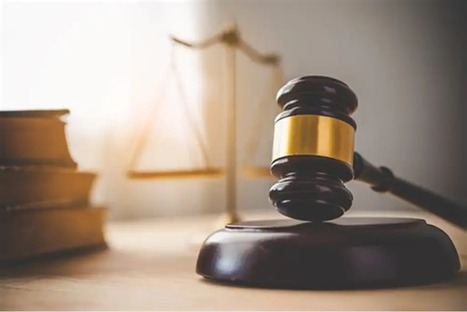 Jurisprudence - Environnement - risques : un président de métropole ne peut pas prendre un arrêté de police pour réguler le débarquement et l’embarquement des passagers de navires de croisière | Veille juridique du CDG13 | Scoop.it