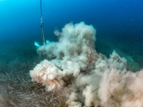 11 projets pour réduire l’impact des ancres des navires de plaisance sur l’herbier de Posidonie | Biodiversité | Scoop.it