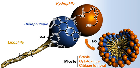 Ciblage tumoral par des vecteurs micellaires à activité cytotoxique endogène | Life Sciences Université Paris-Saclay | Scoop.it