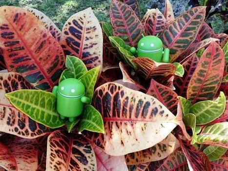 &iquest;Tienes un Android? &iexcl;A limpiar se ha dicho! - CNET en Espa&ntilde;ol | Aplicaciones m&oacute;viles: Android, IOS y otros.... | Scoop.it