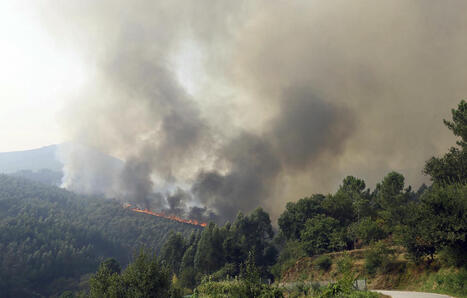 Incendies au Portugal : La série de feux meurtriers qui ont frappé le pays enfin maîtrisée | Biodiversité - @ZEHUB on Twitter | Scoop.it