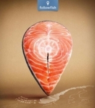 Followfish remonte la ligne jusqu'à l'hameçon | Idées responsables à suivre & tendances de société | Scoop.it