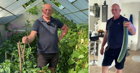 Amir använder mjölk och jäst för att odla extra stora gurkor | 1Uutiset - Lukemisen tähden | Scoop.it