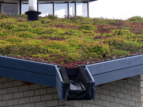 [Article] Écologie des toitures végétalisées - Une étude innovante en Île-de-France : Dossier complet | Techniques de l’Ingénieur | ESPACES VEGETALISES URBAINS | Scoop.it
