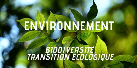 Dossier d'articles : Environnement | Une semaine d'actu - Newsletter de veille de l'AURH | Scoop.it