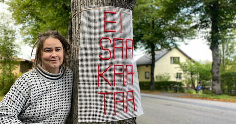 Invånare vill ha kvar lindarna vid Karisvägen – staden har inte utrett om träden kunde sparas | Västnyland | 1Uutiset - Lukemisen tähden | Scoop.it