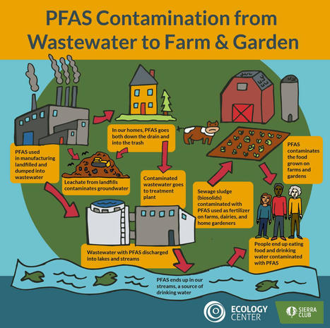 Sludge containing forever chemicals spread on Illinois farmland - ChicagoTribune.com | Operation Deimos | Scoop.it