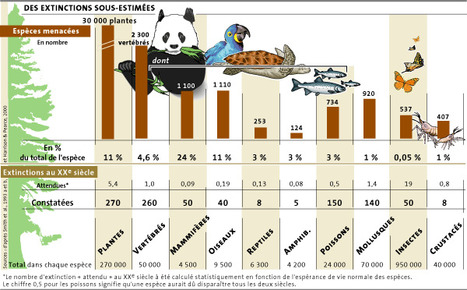 Des extinctions sous-estimées | EntomoNews | Scoop.it