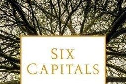 Can accountants save the planet? | Peer2Politics | Scoop.it