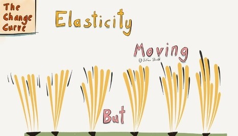 #HR #RRHH Elasticity: Moving But Rooted | Soup for thought | Scoop.it