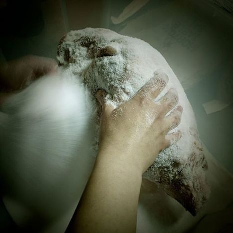 Vol West - Timeline Photos | Facebook | Mélanges technologiques pour la charcuterie | Scoop.it