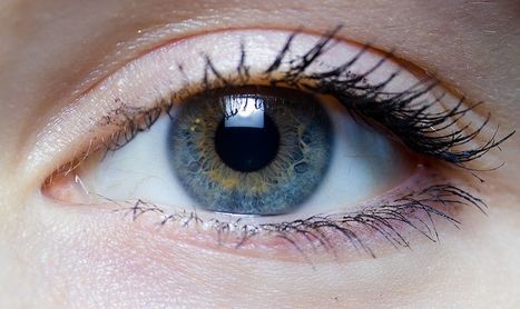 Être aveugle deviendra-t-il bientôt un lointain (mauvais) souvenir ? | LaLIST Veille Inist-CNRS | Scoop.it