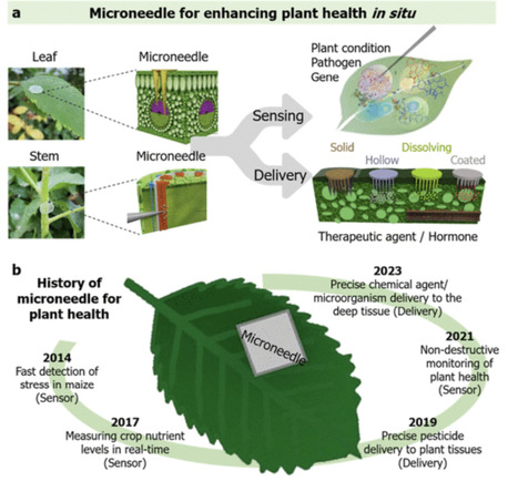 Microneedle-Based Precision Engineering for Agrochemical Delivery and Plant Health Monitoring In Situ | acs | RMH | Scoop.it