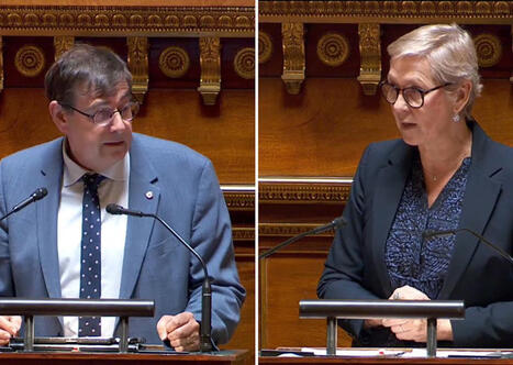 Fibre optique : le S&eacute;nat vote &agrave; l'unanimit&eacute; une p&eacute;r&eacute;quation pour sauver les RIP | Communication publique et num&eacute;rique | Scoop.it