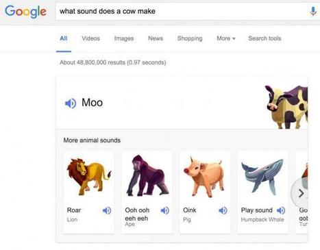 Search Google For Animal Sounds | annaweb | Scoop.it