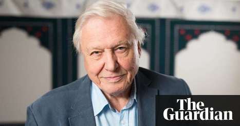 David Attenborough launches wildlife fund for advertisers | Media | The Guardian | rse des médias et mutation | Scoop.it