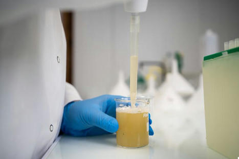 Toopi Organics : le recyclage de l'urine humaine 100% écologique et sans tabou | Créativité et territoires | Scoop.it