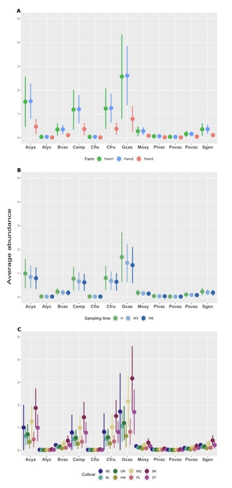 Original Paper in Plant Dis &bull; B&eacute;langer Lab 2021 &bull; New insights into the fungal diversity of cranberry fruit rot in Qu&eacute;bec farms through a large-scale molecular analysis | Originals | Scoop.it