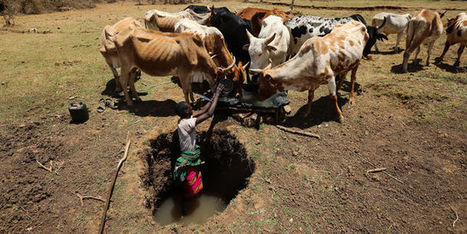 Au Kenya, la guerre de l’eau enflamme la vallée du Rift | AFRIQUES | Scoop.it