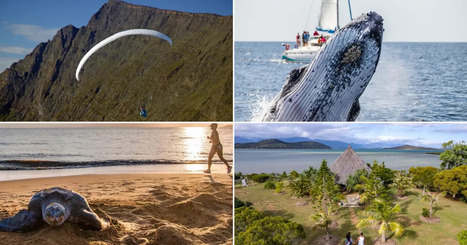 DOSSIER 1/3. Tourisme durable : Les Outre-mer parmi les premiers acteurs de l’écotourisme en France | Outremers360 | Suivi de la demande et des marchés du tourisme | Scoop.it