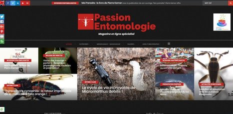 Le site Passion-Entomologie se métamorphose en Magazine en ligne spécialisé | Insect Archive | Scoop.it