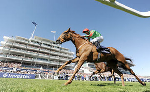 Oaks winner Dancing Rain suffers setback - Horse Racing News | Racing Post | Racing News | Scoop.it