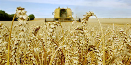 Agriculteurs français : production en hausse, revenus en baisse | Questions de développement ... | Scoop.it
