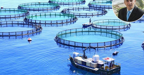 MALTA: Government backtracks on planned tuna farm in the north | CIHEAM Press Review | Scoop.it
