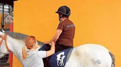 Caballos para mejorar la salud | Caballo, Caballos | Scoop.it