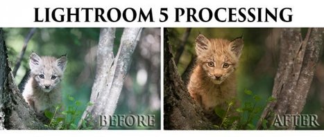 Processing an Image in Lightroom 5 – a Video Tutorial @ Weeder | Image Effects, Filters, Masks and Other Image Processing Methods | Scoop.it