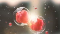 &Eacute;thique et neurosciences : o&ugrave; en est-on ? | CREADOC Nice | Scoop.it