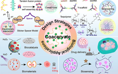 From Cellular Organization to Synthetic Platforms: Liquid&ndash;Liquid Phase Separation as a Framework for Functional Biomolecular Condensates | acs | RMH | Scoop.it