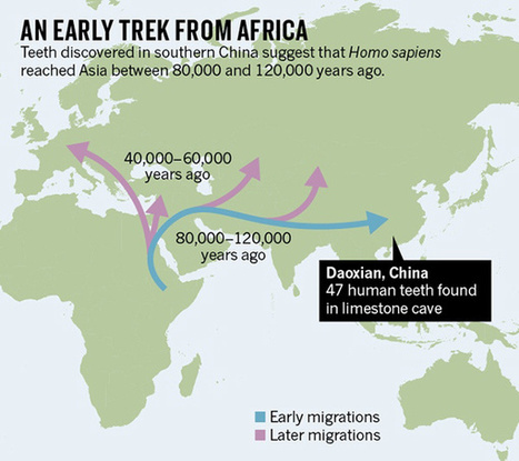 Teeth from China Reveal an Early Human Trek out of Africa | No Such Thing As The News | Scoop.it