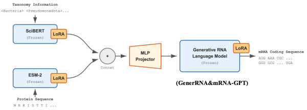 Designing mRNA coding sequence via multimodal r...