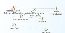 Promising method of growing blood cells in the lab - Silobreaker | Hematology | Scoop.it